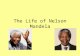The Life of Nelson Mandela. 1918 Nelson Mandela is born in Mvezo on 18 th July and named Rolihlahla.