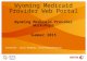 Wyoming Medicaid Provider Web Portal Wyoming Medicaid Provider Workshops Summer 2015 Presenter: Kilee Thompson, Field Representative