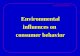 Consumer Behavior Environmental influences Environmental influences on consumer behavior
