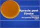 Apraxia post Stroke Paul Morris Occupational Therapist GSTT