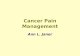 Cancer Pain Management Ann L. Janer. Pain Management Pain is an unpleasant sensation, a symptom, a subjective experience, a complex interaction of neuro-systems.