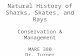 Natural History of Sharks, Skates, and Rays Conservation & Management MARE 380 Dr. Turner