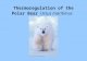 Thermoregulation of the Polar Bear Ursus maritimus.