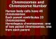 Chromosomes and Chromosome Number   Human body cells have 46 chromosomes   Each parent contributes 23 chromosomes   Homologous chromosomes -one of.