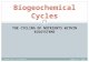 THE CYCLING OF NUTRIENTS WITHIN ECOSYSTEMS Biogeochemical Cycles October 25, 2015 Energy Flow in Ecosystems 1