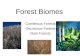 Forest Biomes -Coniferous Forests -Deciduous Forests -Rain Forests