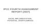 IPCC FOURTH ASSESSMENT REPORT (2007) BASIS, IMPLEMENTATION, POTENTIAL SHORTCOMINGS.