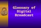 Glossary of Digital Broadcast. Analog  A type of waveform signal that contains information such as image, voice, and data. Analog signals have unpredictable