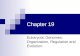 Chapter 19 Eukaryotic Genomes: Organization, Regulation and Evolution