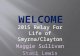 2015 Relay For Life of Smyrna/Clayton Maggie Sullivan Staci Lewis.