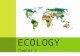 Chapter 2 E COLOGY.  Ecology is the scientific discipline in which the relationships among living organisms and the interaction the organisms have with