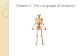 Chapter 2: The Language of Anatomy. Anatomy Unit 2 Objectives: TSWBAT verbally describe or demonstrate the anatomical position. TSWBAT use proper anatomical