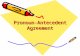 Pronoun-Antecedent Agreement. What do you need to understand about pronoun-antecedent agreement errors? What’s a pronoun? What’s an antecedent? What’s
