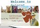 Top 9 Best Tourist Destinations in Gujarat