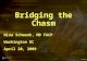 Bridging the Chasm
