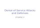 Denial-of-Service Attacks and Defenses