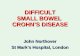 DIFFICULT SMALL BOWEL  CROHN’S DISEASE