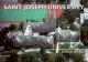 Saint Joseph university
