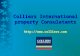 Colliers International property Consulatants colliers