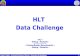 HLT  Data Challenge