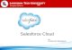 Salesforce Cloud