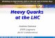 Heavy Quarks  at the LHC