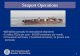 Seaport Operations