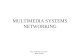 MULTIMEDIA SYSTEMS NETWORKING