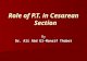 Role of P.T. in Cesarean Section