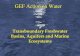 Transboundary Freshwater Basins, Aquifers and Marine Ecosystems
