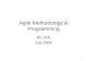Agile Methodology & Programming