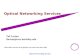 Optical Networking Services