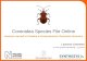 Coreoidea  Species File Online