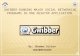 Gwibber-Running major social networking programs in one desktop application