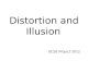 Distortion and Illusion