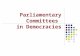 Parliamentary Committees  in Democracies