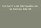 Oil Palm and Deforestation in Borneo Island