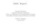 NSAC  Report