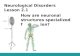 Neurological Disorders Lesson 2.1
