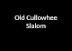 Old Cullowhee Slalom