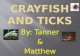 Crayfish and Ticks