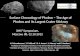 Surface Chronology of  Phobos  â€“ The Age of  Phobos  and its Largest Crater Stickney