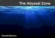 The Abyssal Zone