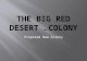The Big Red Desert  Penal Colony