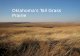 Oklahoma’s Tall Grass Prairie