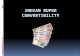 Indian  Rupee Convertibility