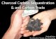 Charcoal Carbon Sequestration & and Carbon Trade