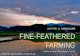 CHAPTER  22   AGRICULTURE FINE-FEATHERED FARMING