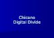 Chicano Digital Divide