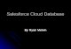 Salesforce Cloud  Database